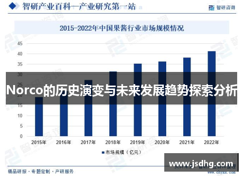 Norco的历史演变与未来发展趋势探索分析